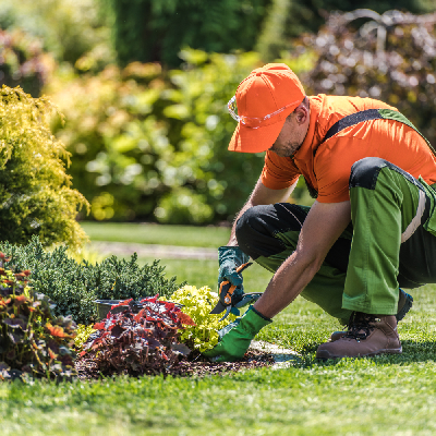 Jardinier en train de planter